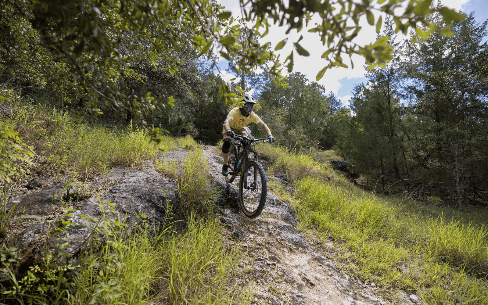 Florida trail scenery during a guided outdoor bike adventure
